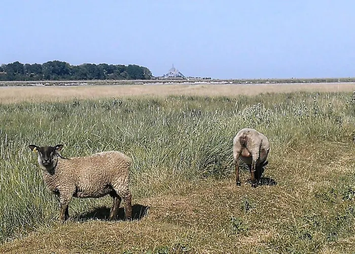 Les Escales De Marion Frühstückspension
